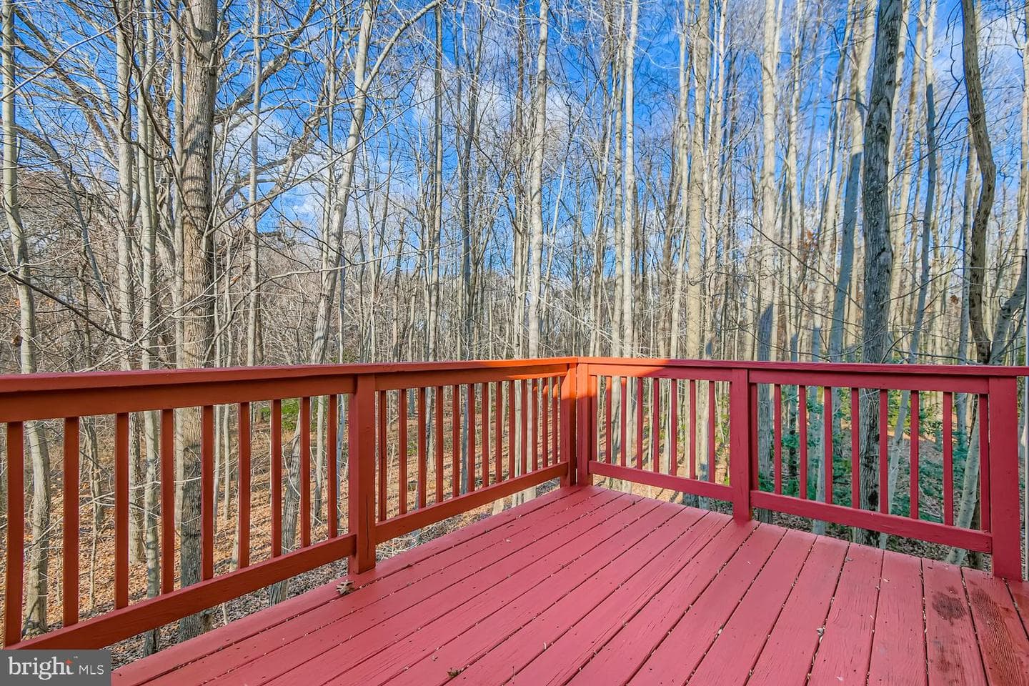 2218 Retreat Court photo 27