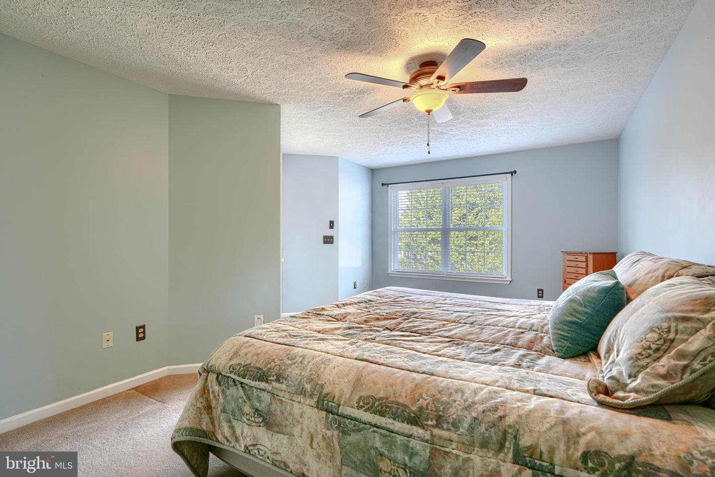 3203 Eastbend Court photo 22