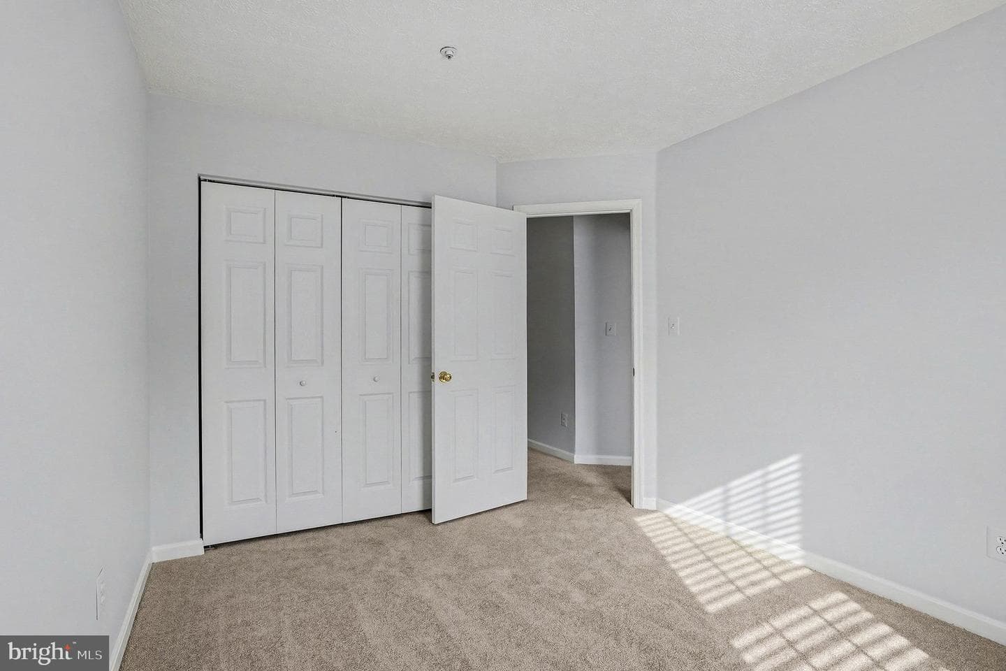 3902 Bush Court photo 20