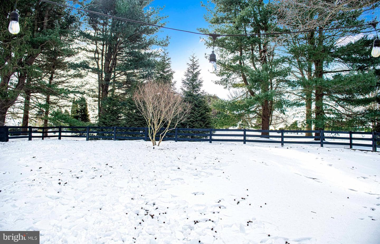 1127 Darlene Road photo 43