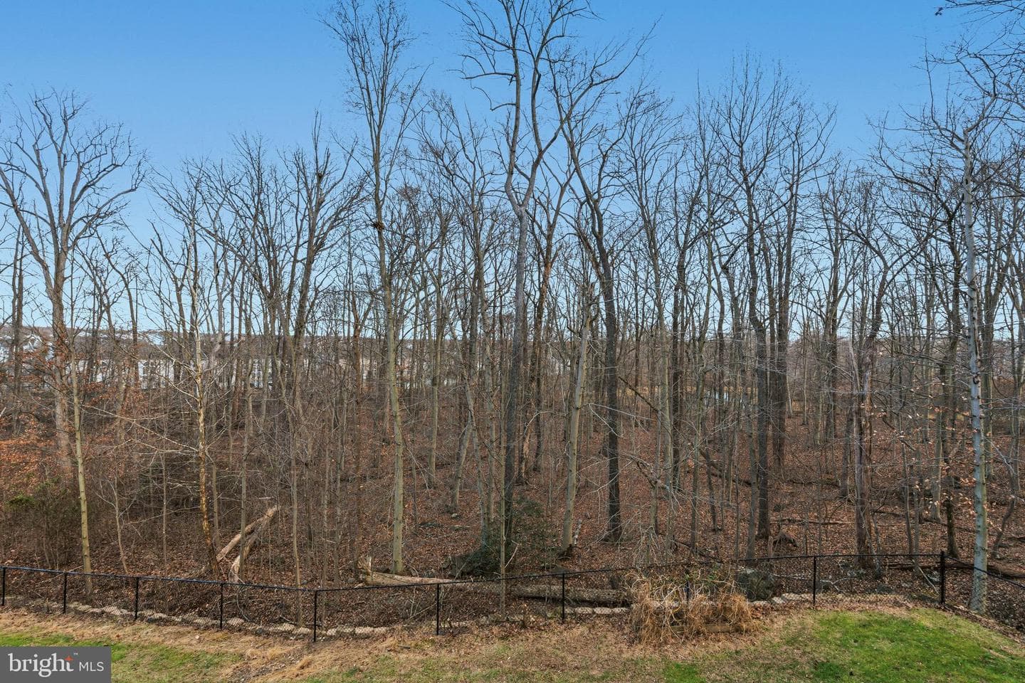 617 English Ivy Way photo 5