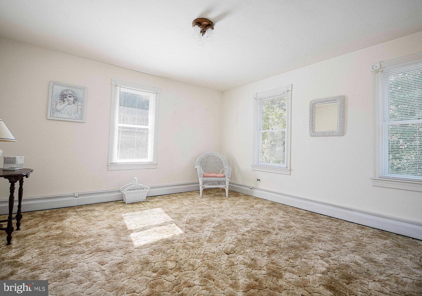 3645 Mill Green Road photo 24