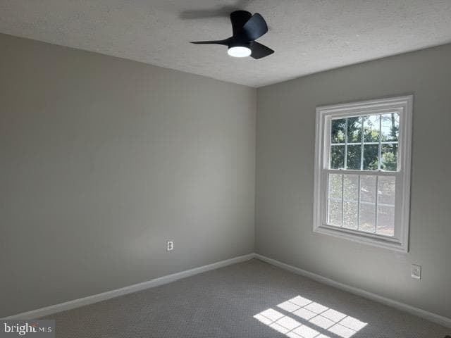 903 Garland Court photo 24
