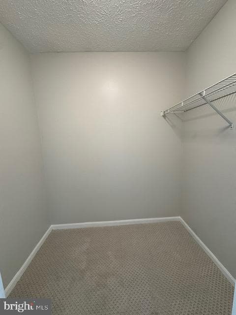 903 Garland Court photo 32