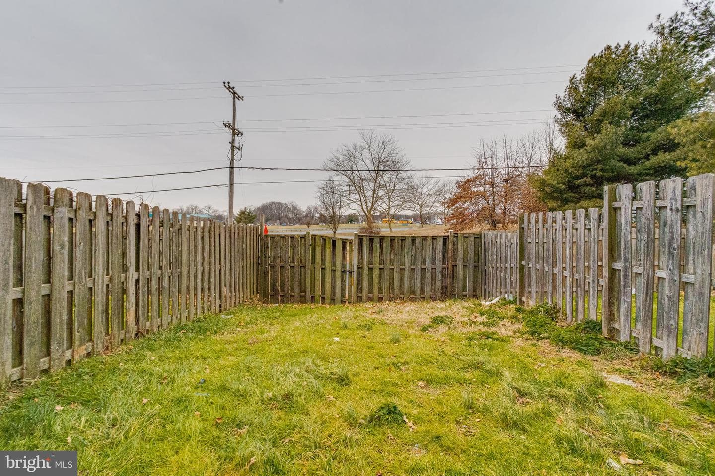 4211 Chapelgate Place photo 44