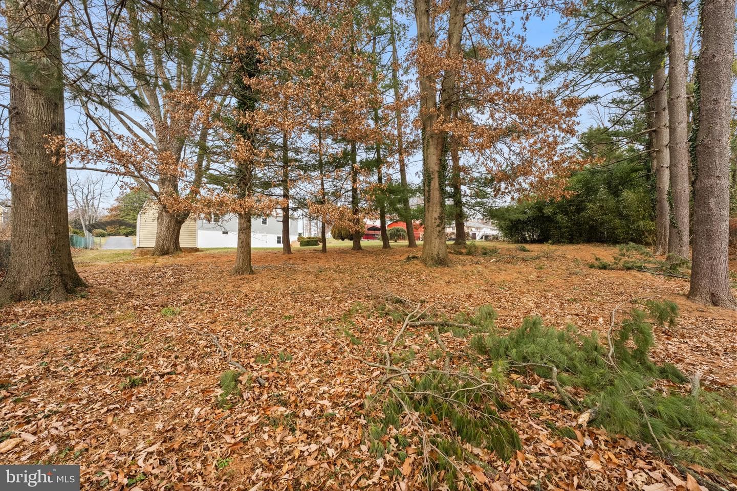 3605 Hays Road photo 63