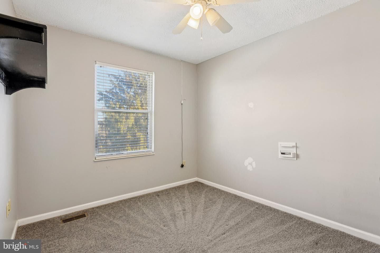 804 Dora Place photo 19