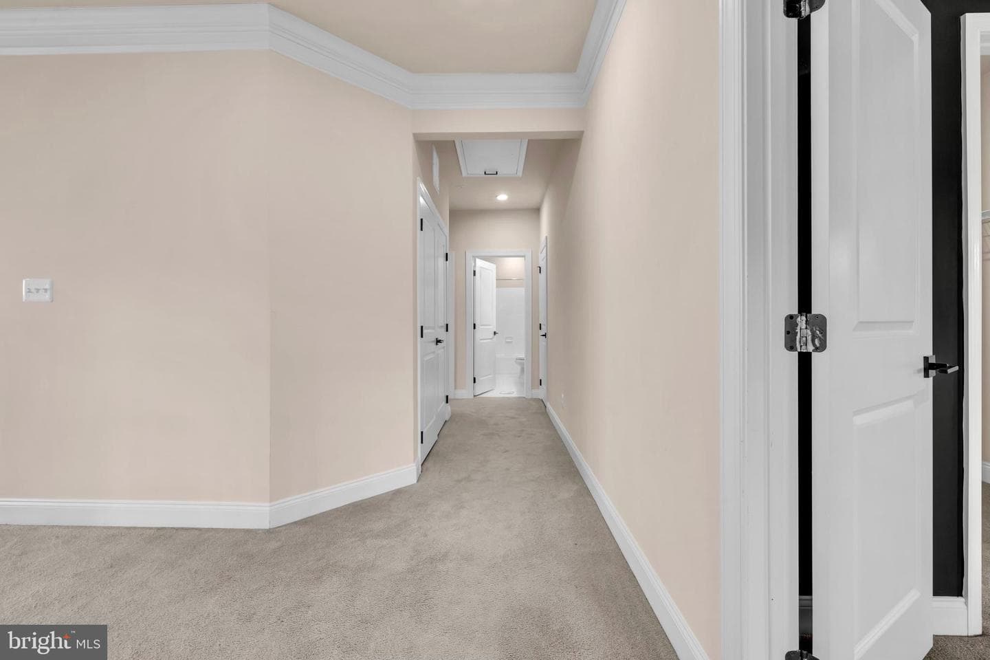 2765 Oatgrass Court photo 50