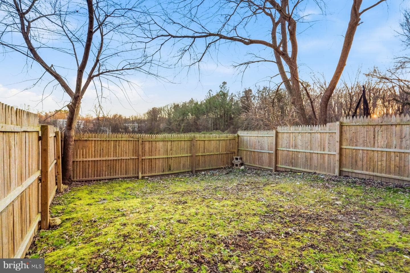 1811 Eloise Lane photo 29