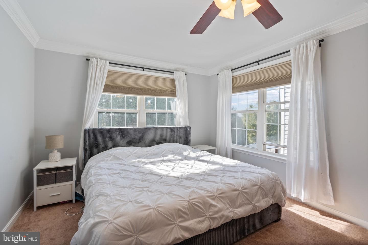 243 Mary Jane Lane photo 19