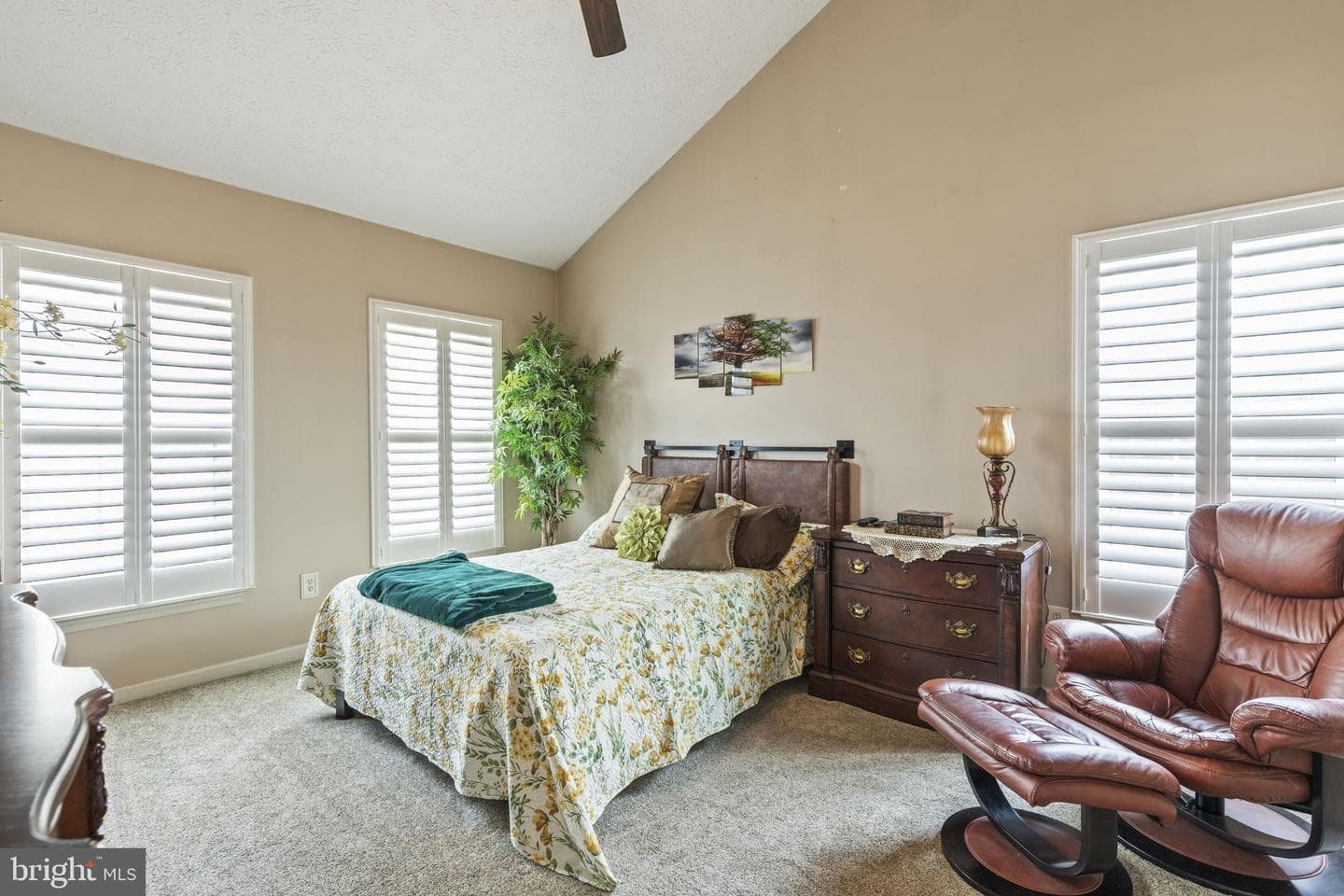 107 Sunshine Court photo 20