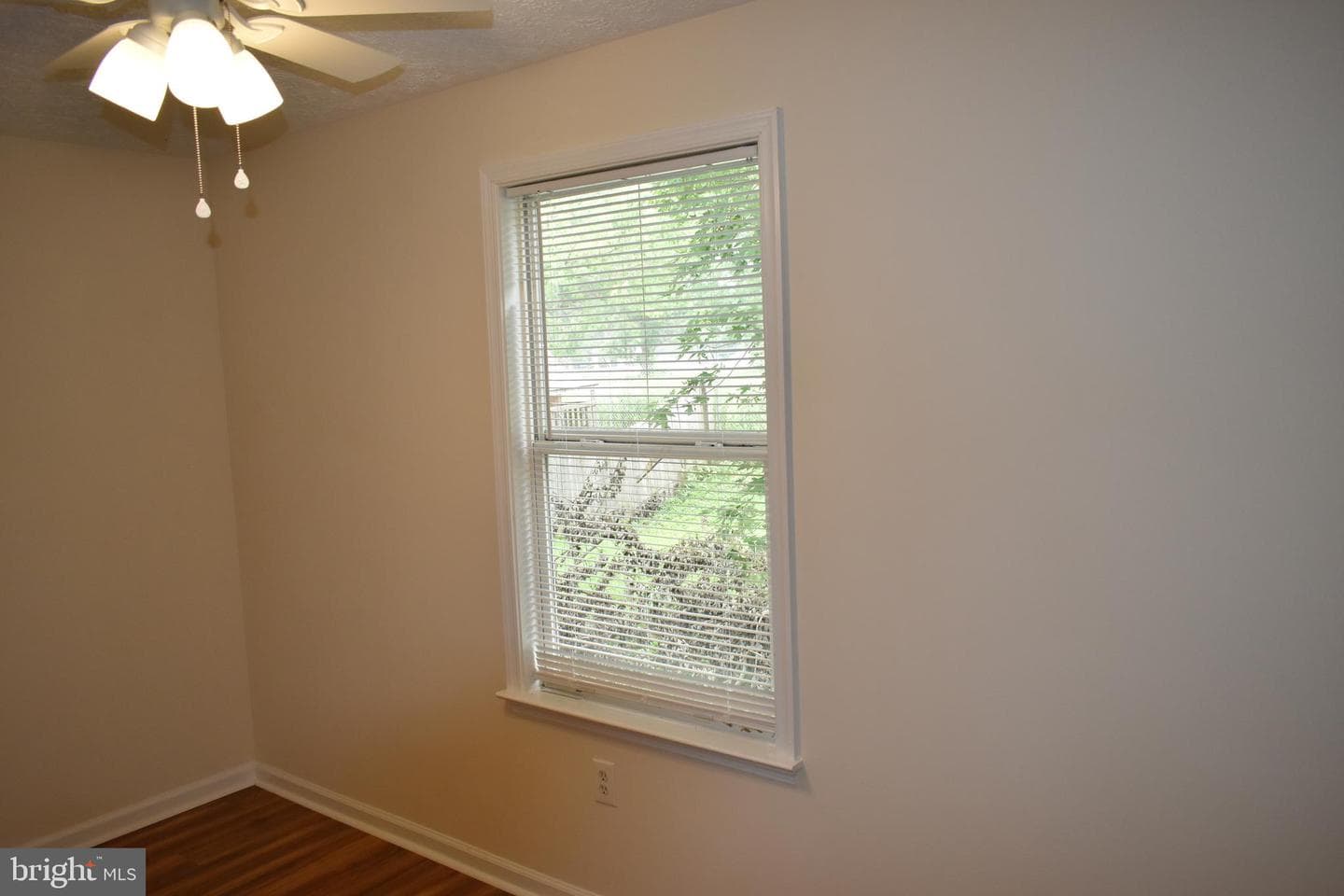 50 Liberty Street photo 28