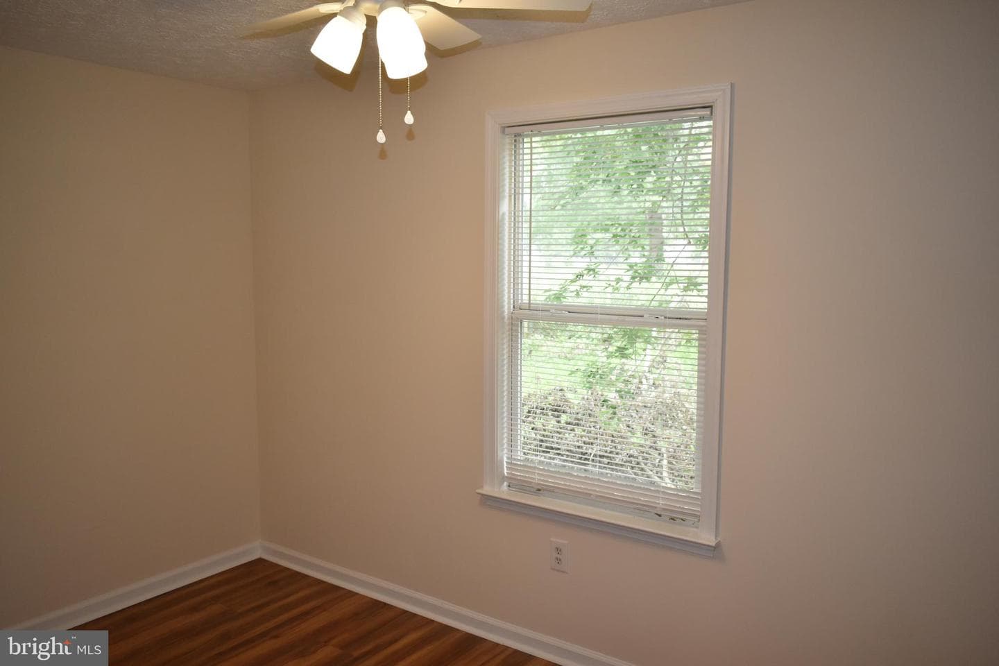 50 Liberty Street photo 29