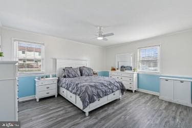 2923 Alconbury Court photo 24
