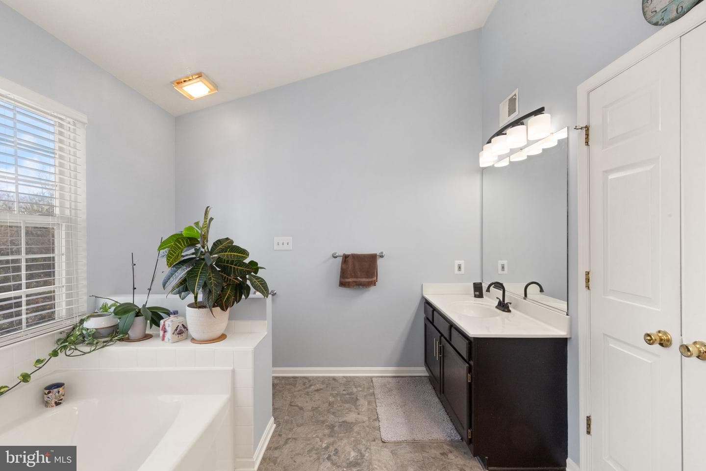 3303 Trellis Lane photo 17