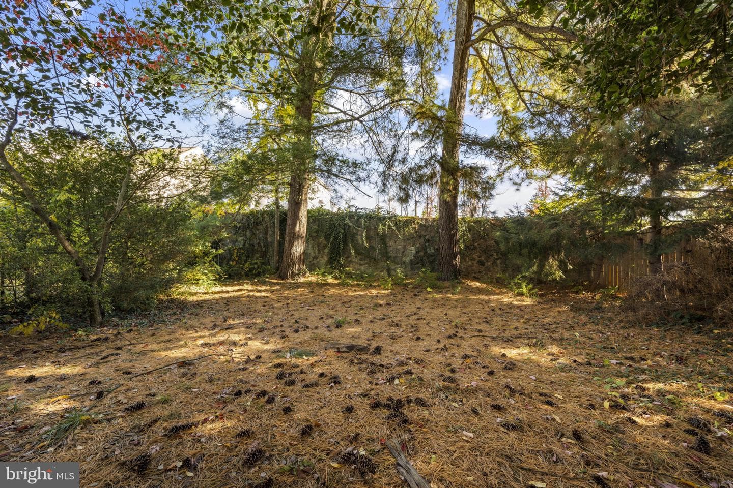403 Halyard Drive photo 34