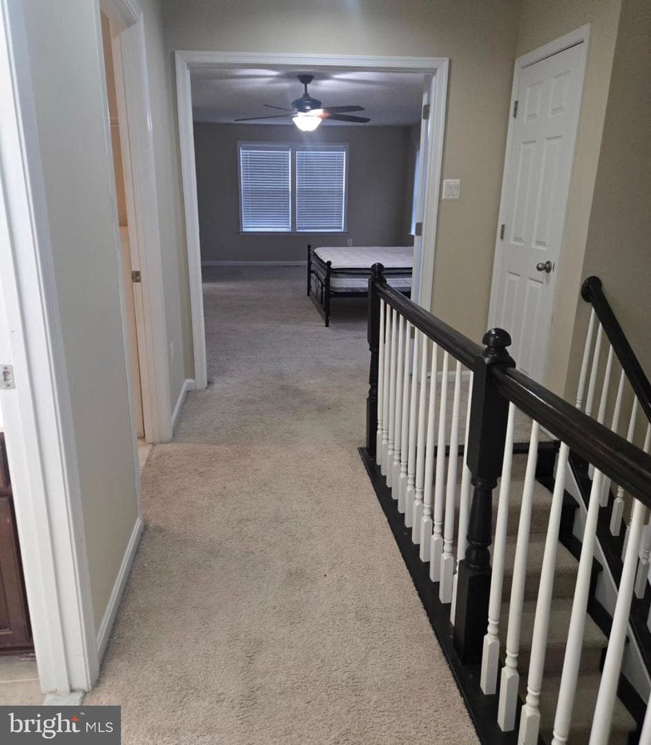 1652 Livingston Drive photo 20