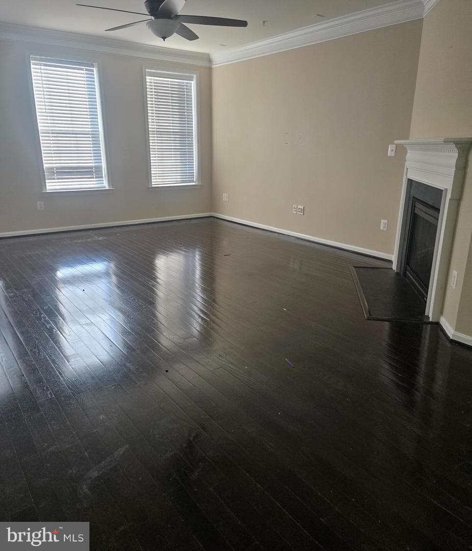 1652 Livingston Drive photo 5