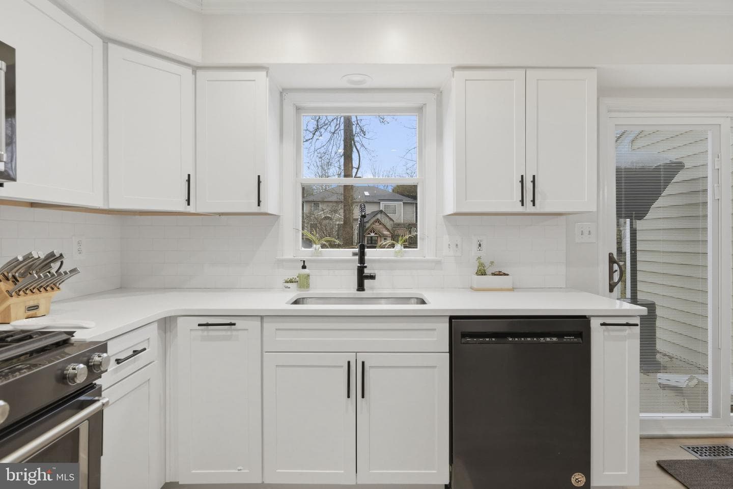 1038 Alexandria Way photo 6