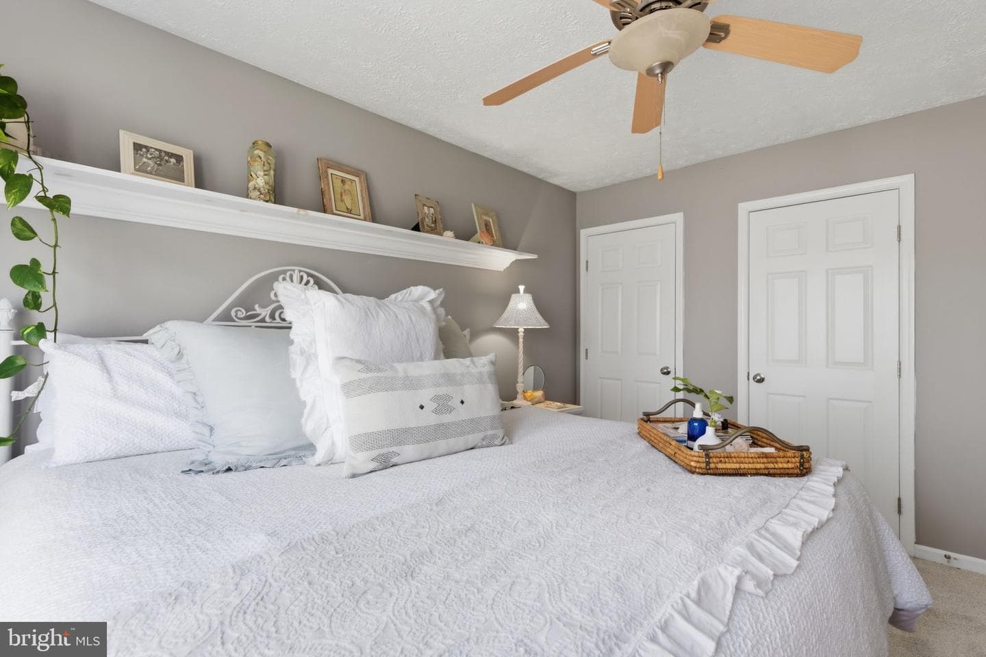 536 David Drive photo 25