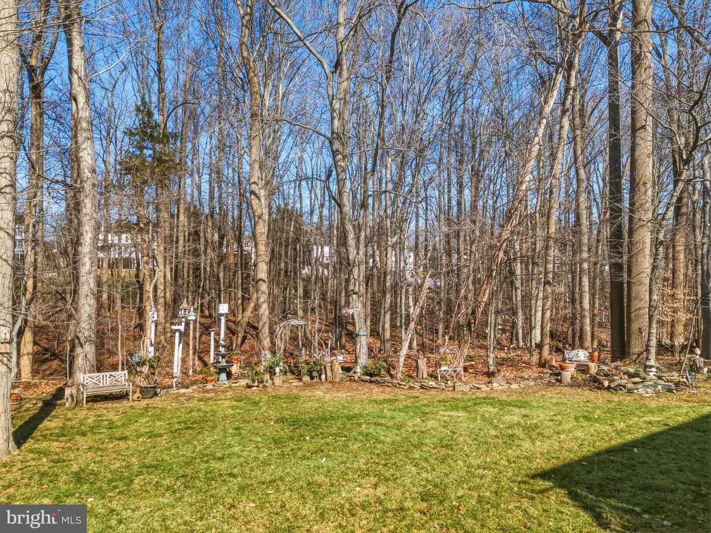 536 David Drive photo 47