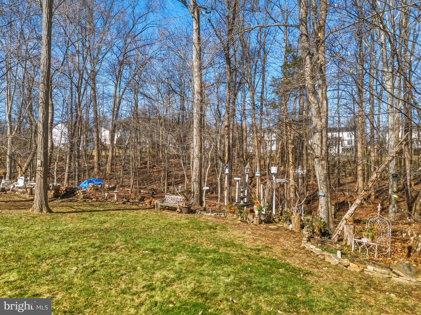 536 David Drive photo 48