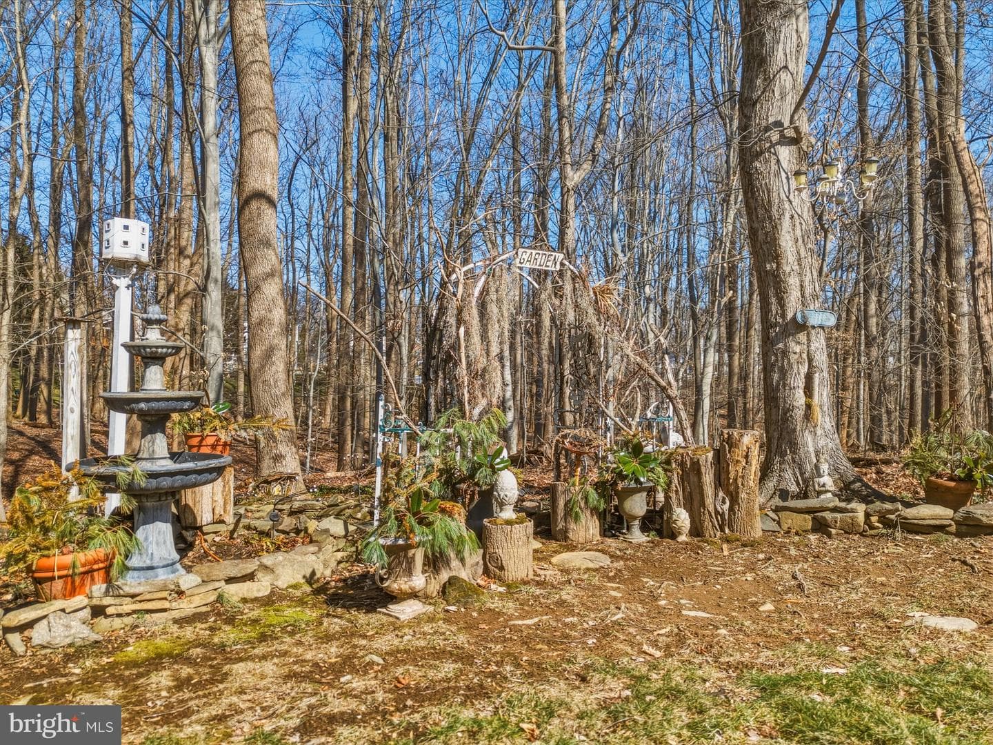 536 David Drive photo 49
