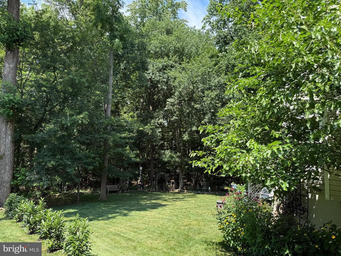 536 David Drive photo 54