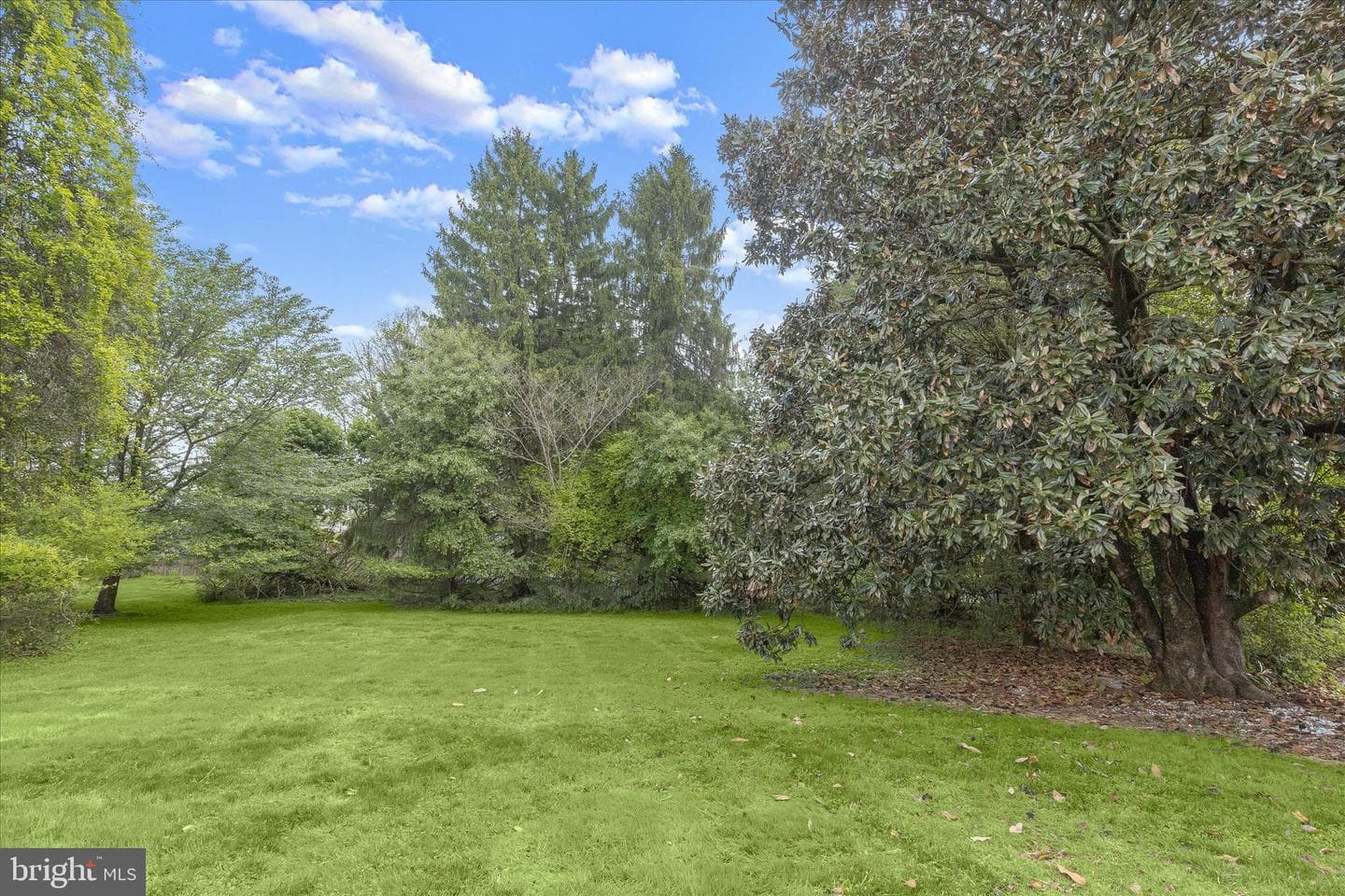 102 Brandywine Place photo 22