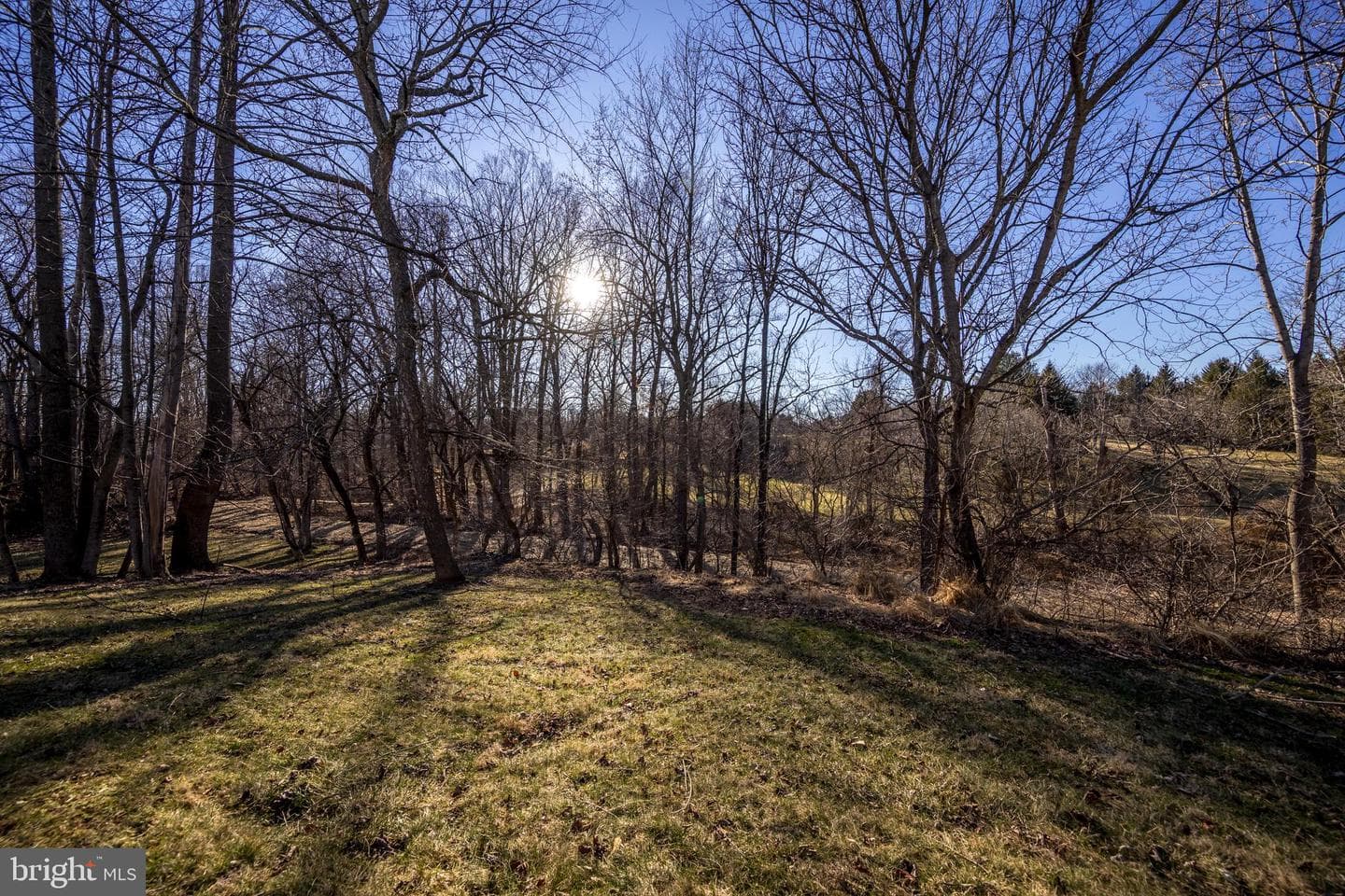 2302 Arthurs Woods Drive photo 10