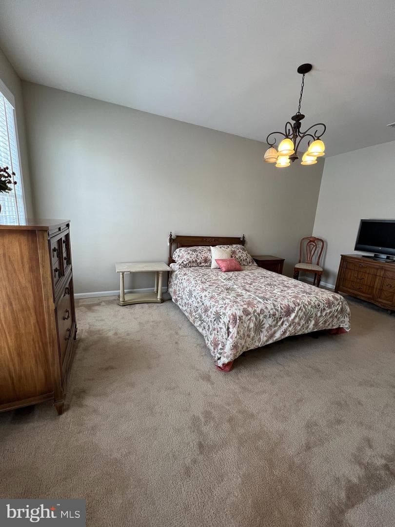 407 Shellbark Court photo 13