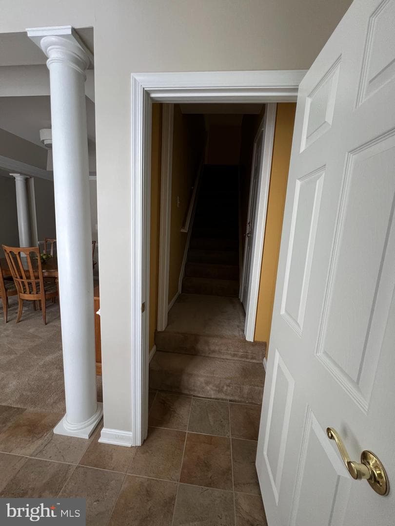 407 Shellbark Court photo 20