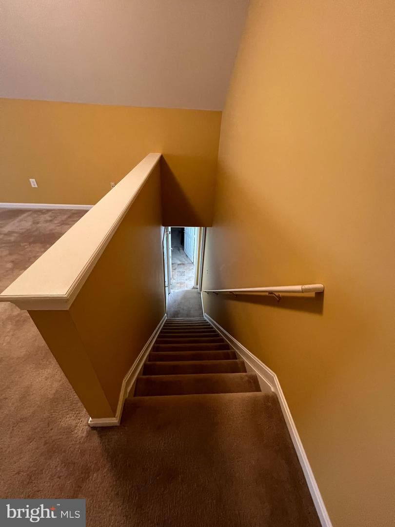 407 Shellbark Court photo 22