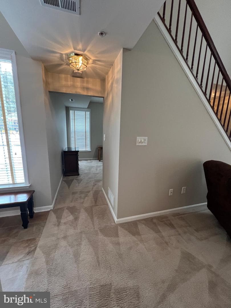 407 Shellbark Court photo 25