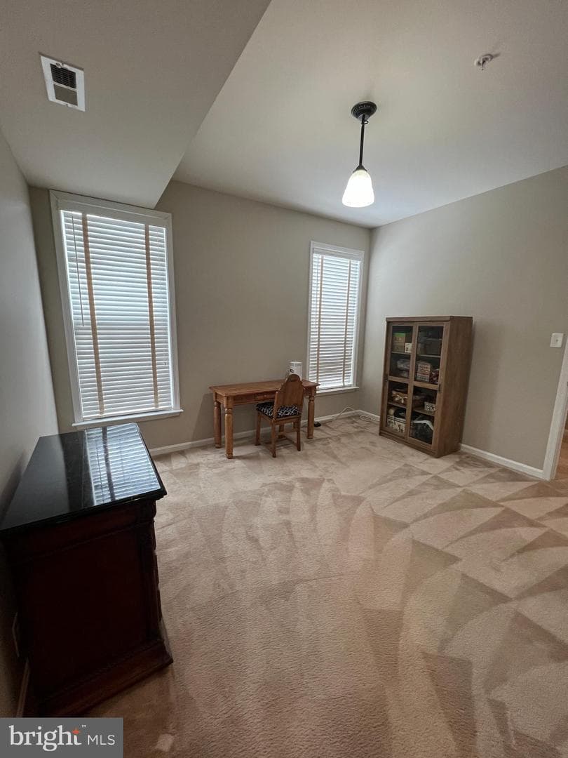 407 Shellbark Court photo 26