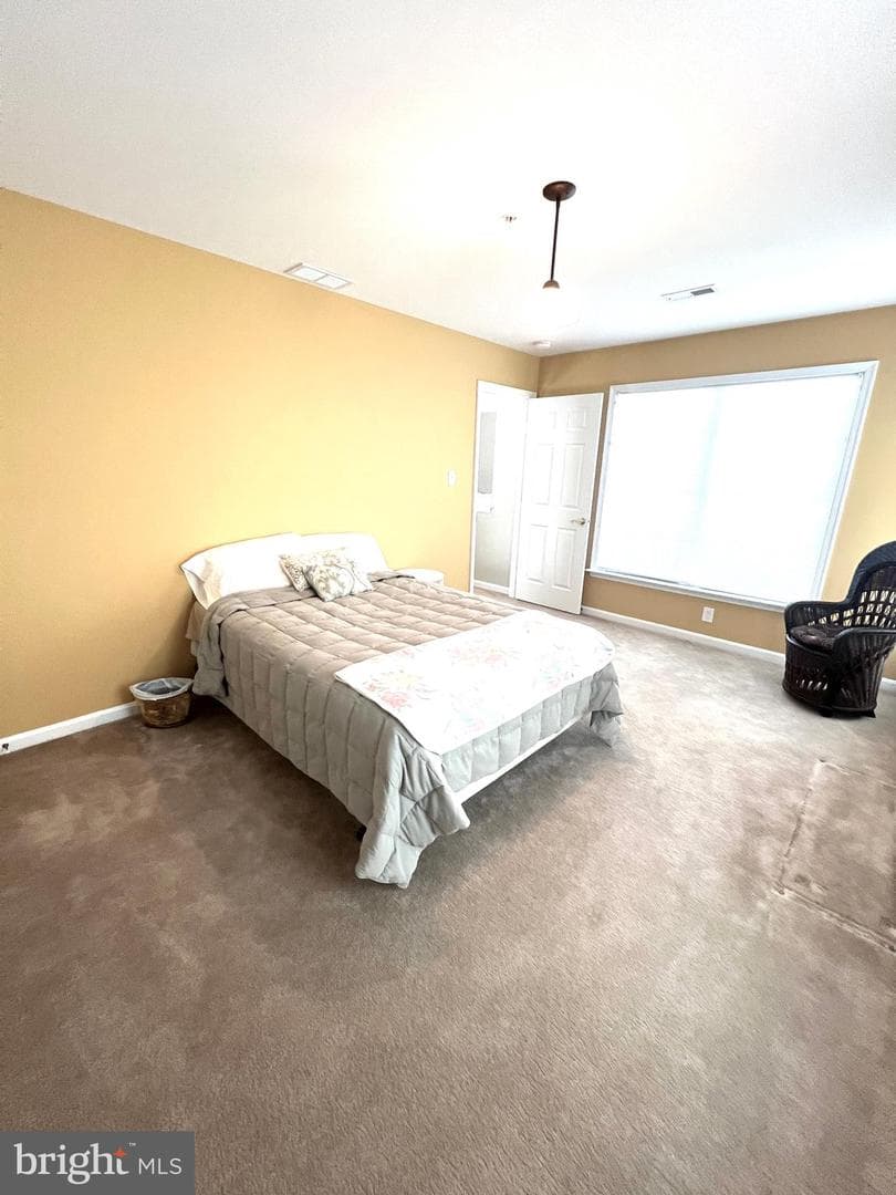 407 Shellbark Court photo 52