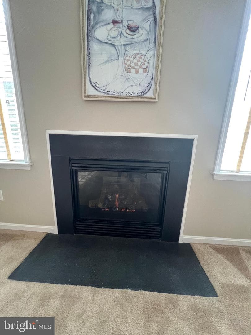 407 Shellbark Court photo 54