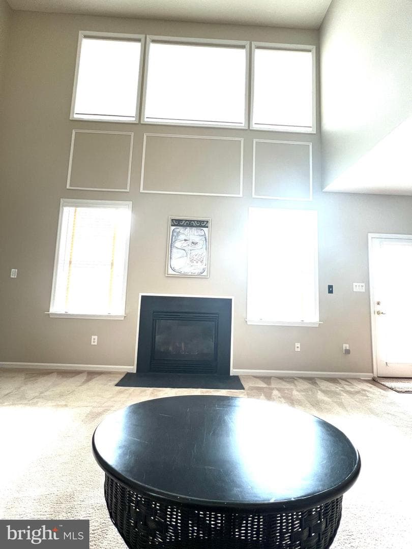407 Shellbark Court photo 55