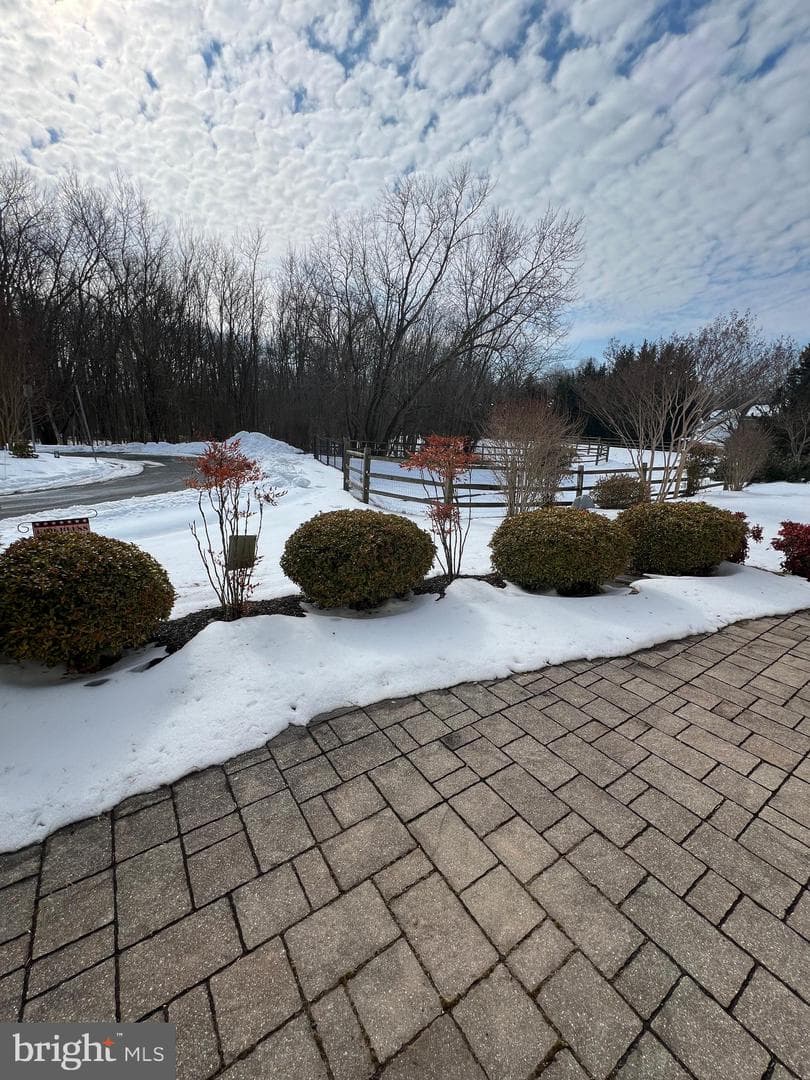 407 Shellbark Court photo 57