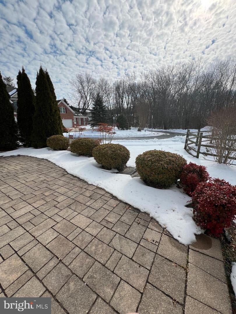 407 Shellbark Court photo 59