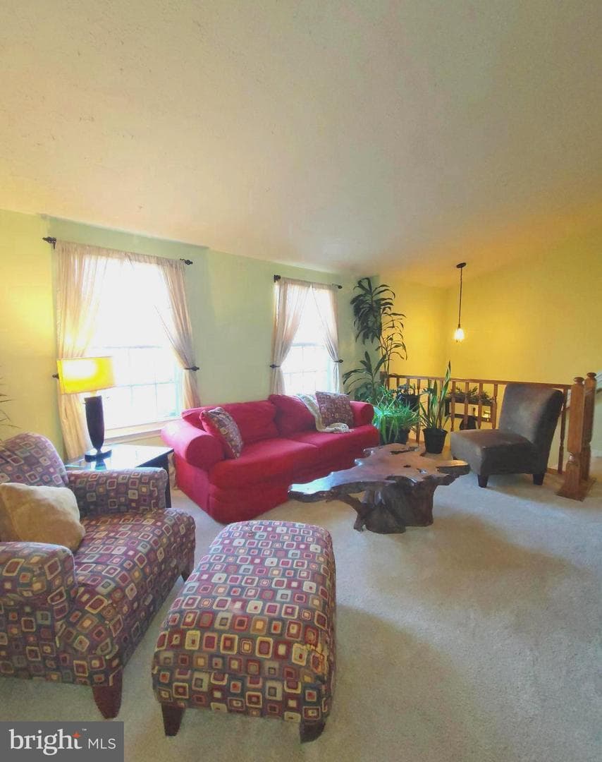 925 Hamburg Drive photo 13