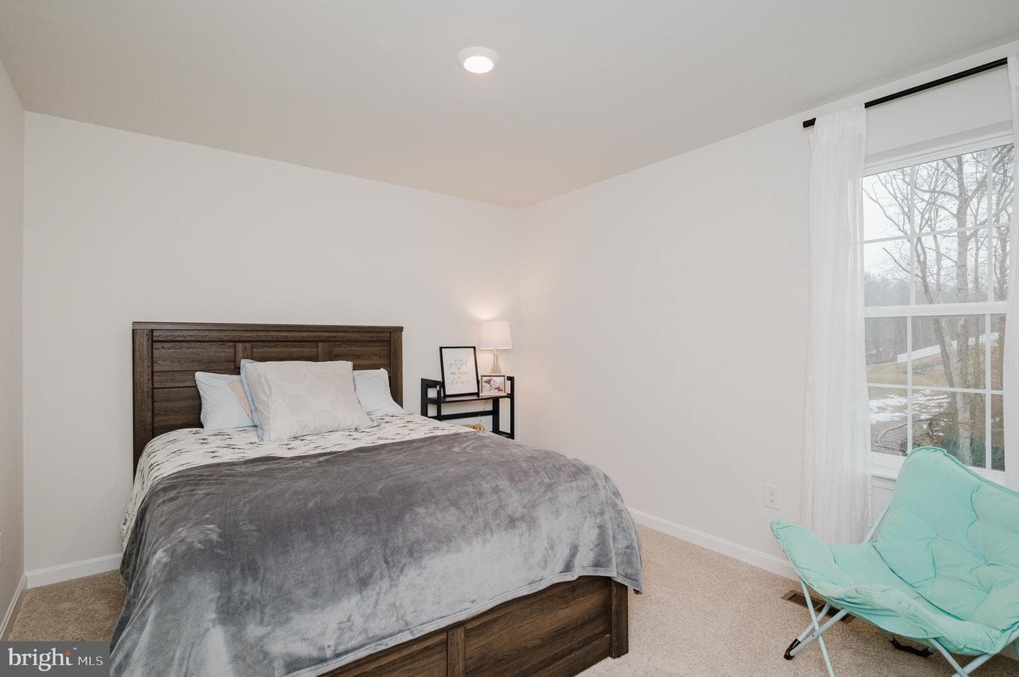 976 Pagonia Drive photo 41