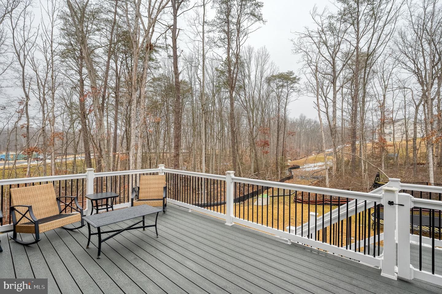 976 Pagonia Drive photo 54