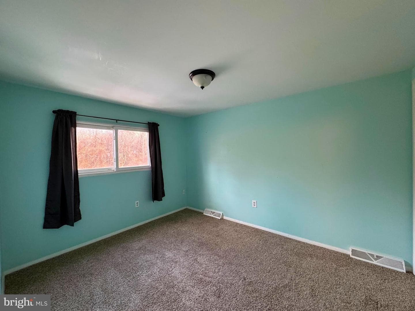 2013 Columbine Lane photo 2