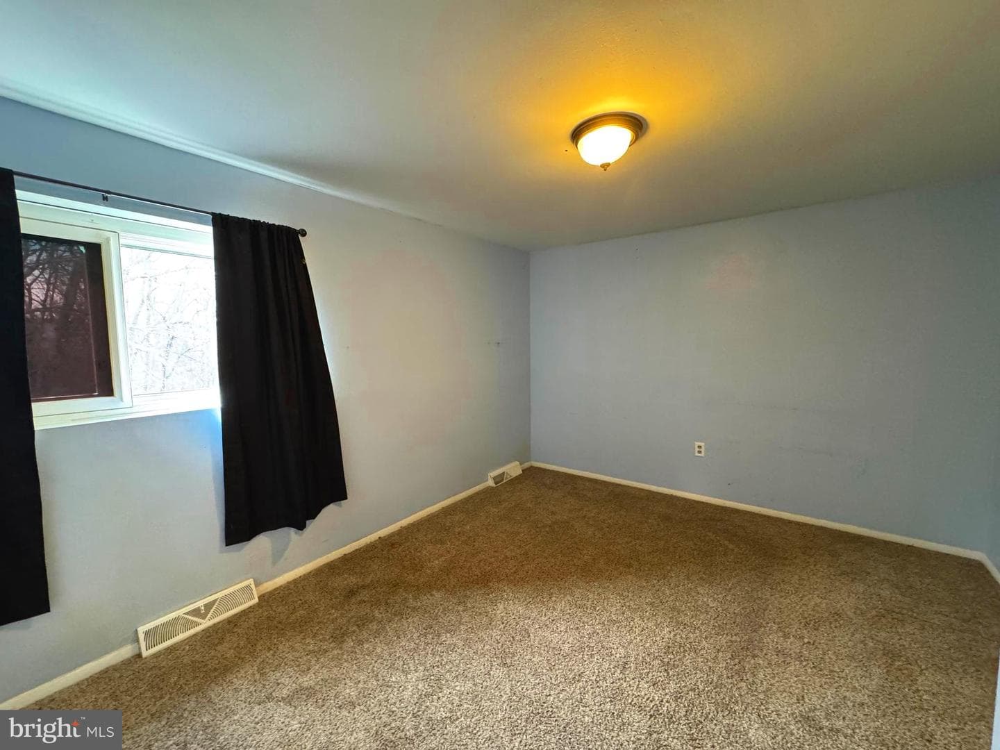 2013 Columbine Lane photo 6