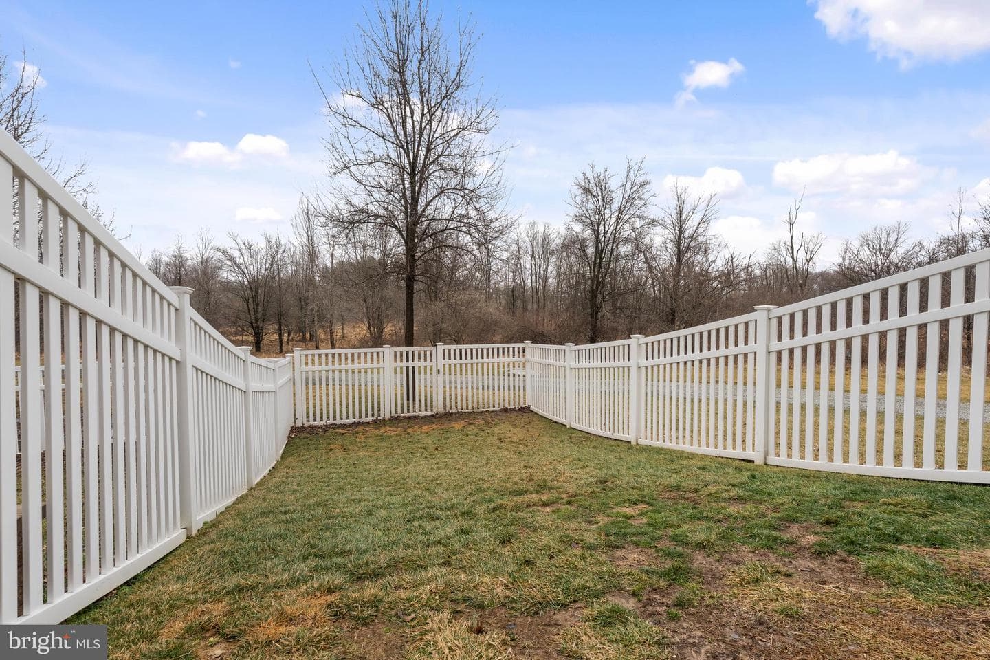 939 Dawes Court photo 6