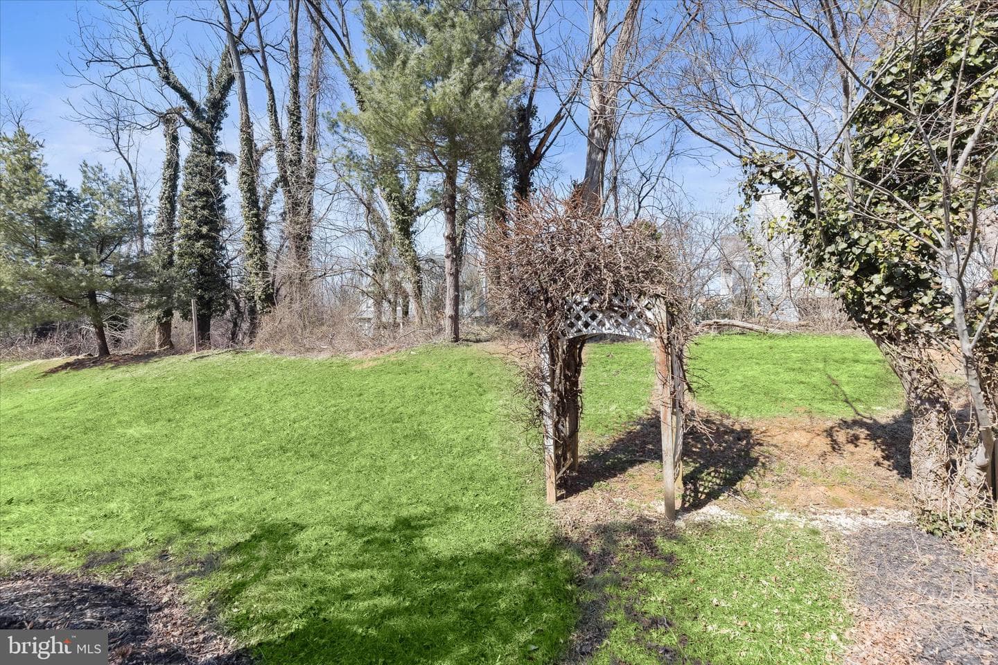 308 Althea Court photo 52