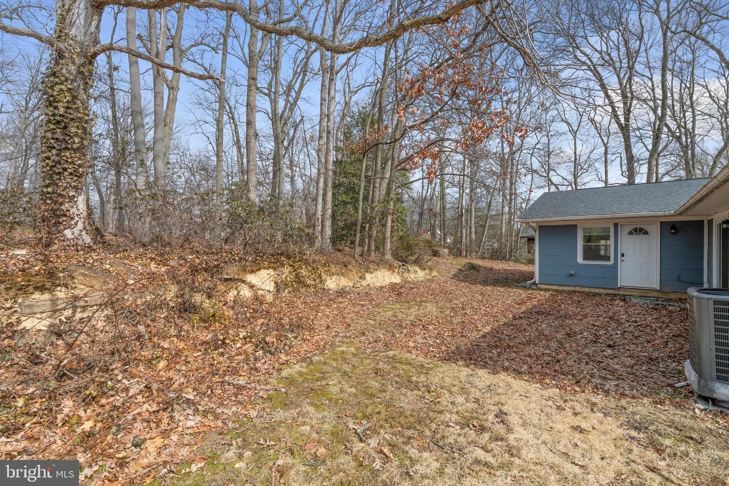 311 Summerfield Court photo 36