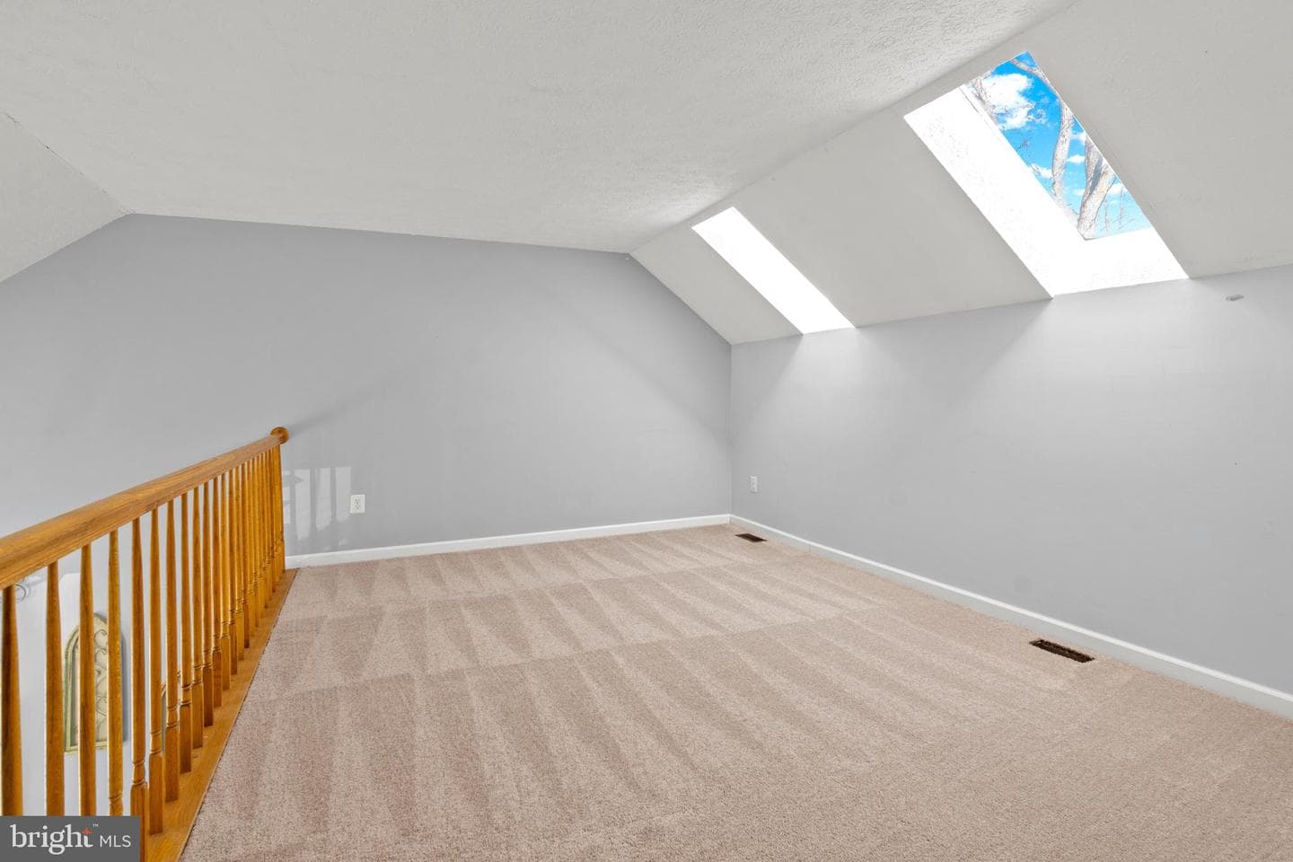 905 Fitzpatrick Drive photo 20