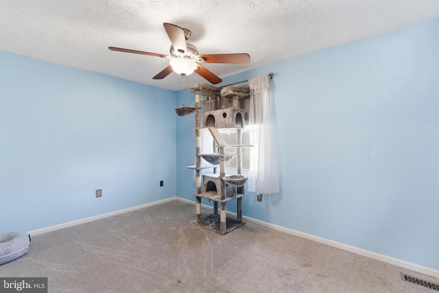 3820 Federal Lane photo 19